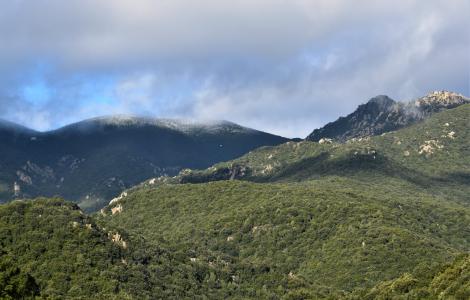 vette del Gutturu Mannu (foto Venanzio Basciu) vette del Gutturu Mannu (foto Venanzio Basciu)