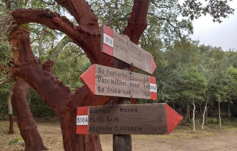 Oasi di Assai: tra sentieri e sughere (foto A.Saba)