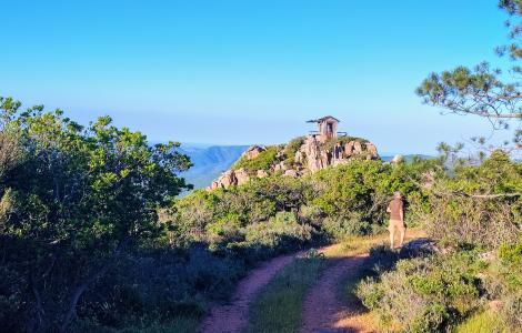 Vedetta M.Genis (foto A.Saba) 