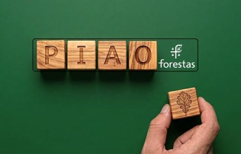 Immagine rappresentativa del PIAO Forestas