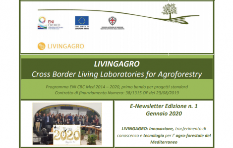 LIVINGAGRO -Newsletter gennaio 2020