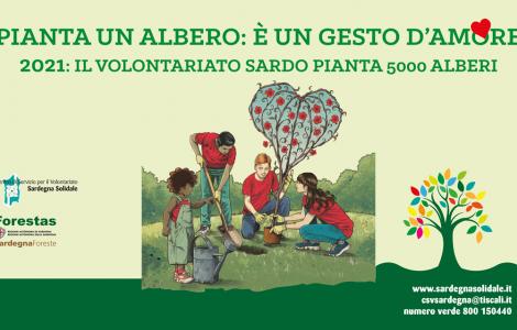 Piantaunalbero-banner Piantaunalbero-banner