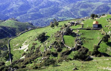 Planargia, paesaggio rurale (Domenico Ruiu)
