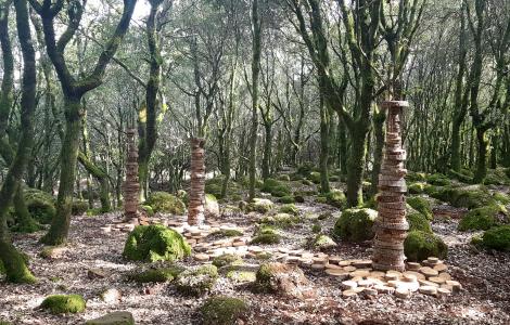 TOTEM Morgongiori (IED)