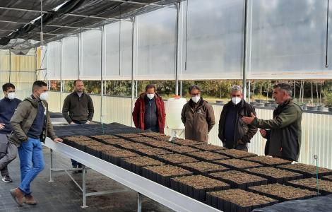 Corso Vivaio modello 02