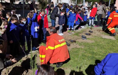 Festa dell'albero a Villaputzu, 02 2022 Festa dell'albero a Villaputzu, 02 2022