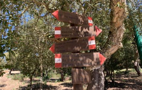 Sentieri del Barigadu (foto M.Cara)