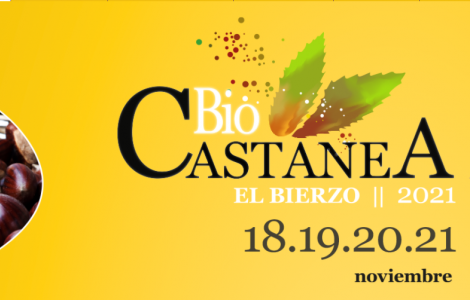 biocastanea.es