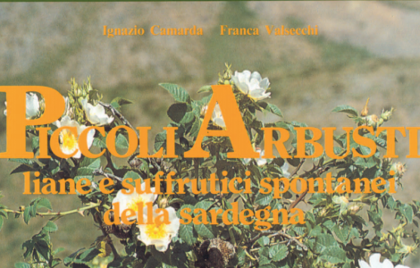 copertina libro piccoli arbusti copertina libro piccoli arbusti