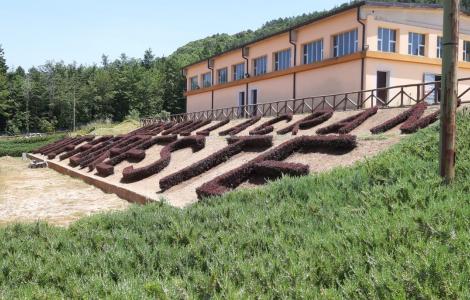 Sede operativa di Luas (Villagrande) - Foto N.Sanna Sede operativa di Luas (Villagrande) - Foto N.Sanna