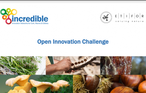 OIC progetto Incredible