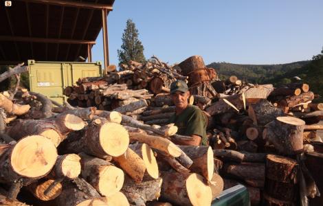 produzione e vendita legna da tagli forestasli.jpg