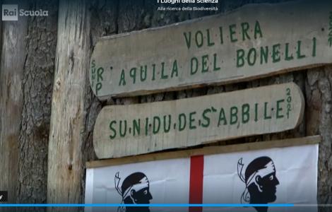 Voliera aquila Bonelli, programma RAI screenshot 9