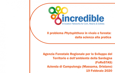 seminario Phytophthora 19.02.19 seminario Phytophthora 19.02.19