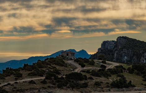 Sa matta de s 'aca (Gairo Taquisara, foto C.Mascia)