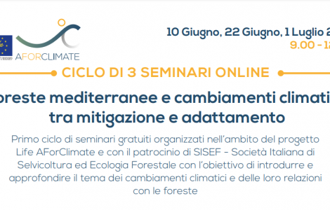 programma 3 seminari 10-22 giugno 1 luglio
