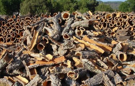 sughero catasta (foto progetto InCREDIBLE)