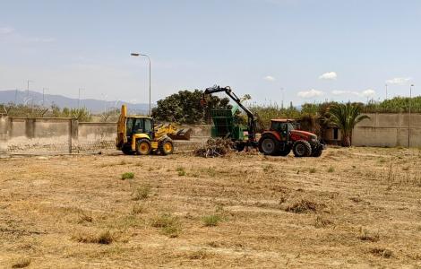 Intervento Forestas Monte Urpinu (foto A.Saba) Intervento Forestas Monte Urpinu (foto A.Saba)