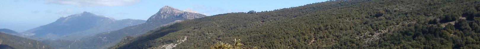 Monte Novo S.Giovanni (Orgosolo, Montes)