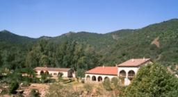 Il Complesso forestale di Gutturu Mannu