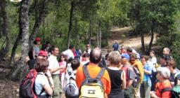 Foreste Aperte, i sentieri escursionistici