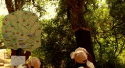 L'albero dei pensierini L'albero dei pensierini