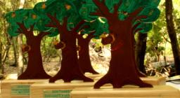 Trofei per C'è un bosco nel mio mondo Trofei per C'è un bosco nel mio mondo