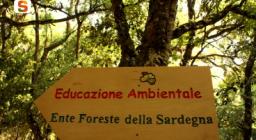educazione ambientale educazione ambientale