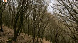 Panorama desolante lungo un sentiero interessato