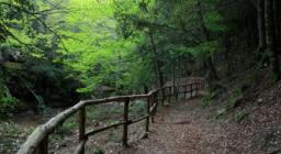 lungo il rio Ermolinos