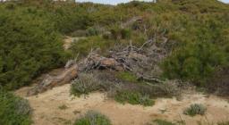 Sentiero Porto Ferro - le Prigionette: tappa 3