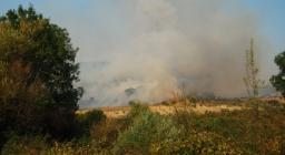 incendio boschivo incendio boschivo