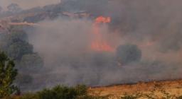 incendio boschivo incendio boschivo