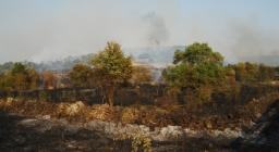 terreno percorso dal fuoco terreno percorso dal fuoco