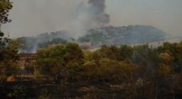 terreno percorso dal fuoco terreno percorso dal fuoco