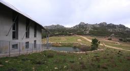 scorcio del sentiero didattico per l'arboreto mediterraneo presso Limbara Sud