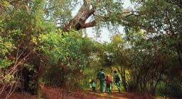 educazione ambientale educazione ambientale