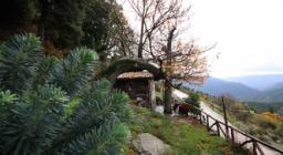 Aritzo, Euforbia cespugliosa in località Funtana'e Silia - foto HorusFilms A. Chiaramida