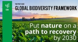 Biodiversità 2030
