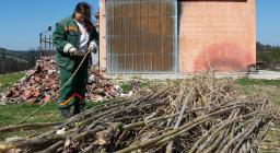 Lavori Forestas per Monte Arci Land Art Festival