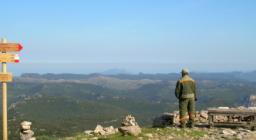 Foreste Aperte, vista da uno dei sentieri escursionistici a Montarbu (seui)