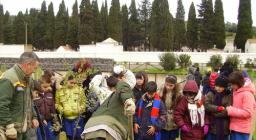 un millione di alberi a scuola un millione di alberi a scuola