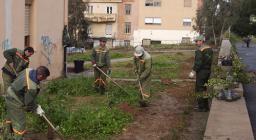 cabonia ITC cabonia ITC