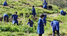 villacidro - foto di simone nonnis villacidro - foto di simone nonnis