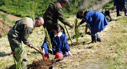 villacidro - foto di simone nonnis villacidro - foto di simone nonnis