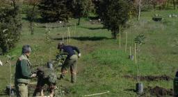 Un milione di nuovi alberi - isili 20 febbraio Un milione di nuovi alberi - isili 20 febbraio