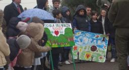 Un milione di nuovi alberi - Uta Un milione di nuovi alberi - Uta