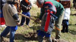 un milione di nuvi alberi - seui