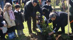 un milione di nuovi alberi - Paulilatino - messa a dimora di 600 piante - leccio, corbezzolo, mirto e rosmarino un milione di nuovi alberi - Paulilatino - messa a dimora di 600 piante - leccio, corbezzolo, mirto e rosmarino