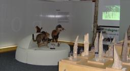 lo stand - foto PP.Mocci